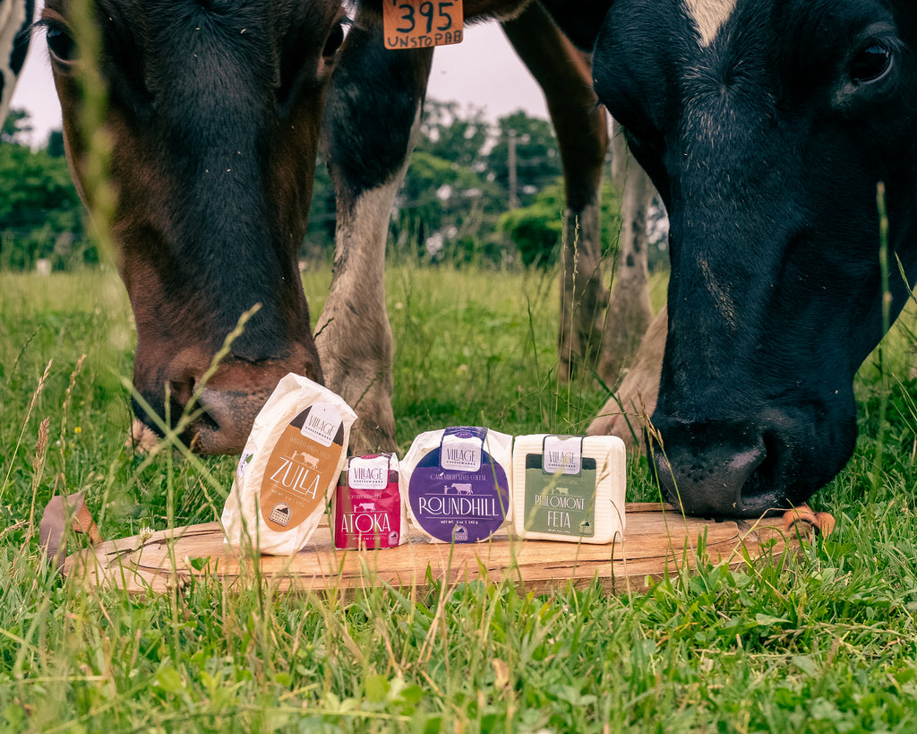 Village Cheeseworks Assortment — Handcrafted Virginia Cheeses
