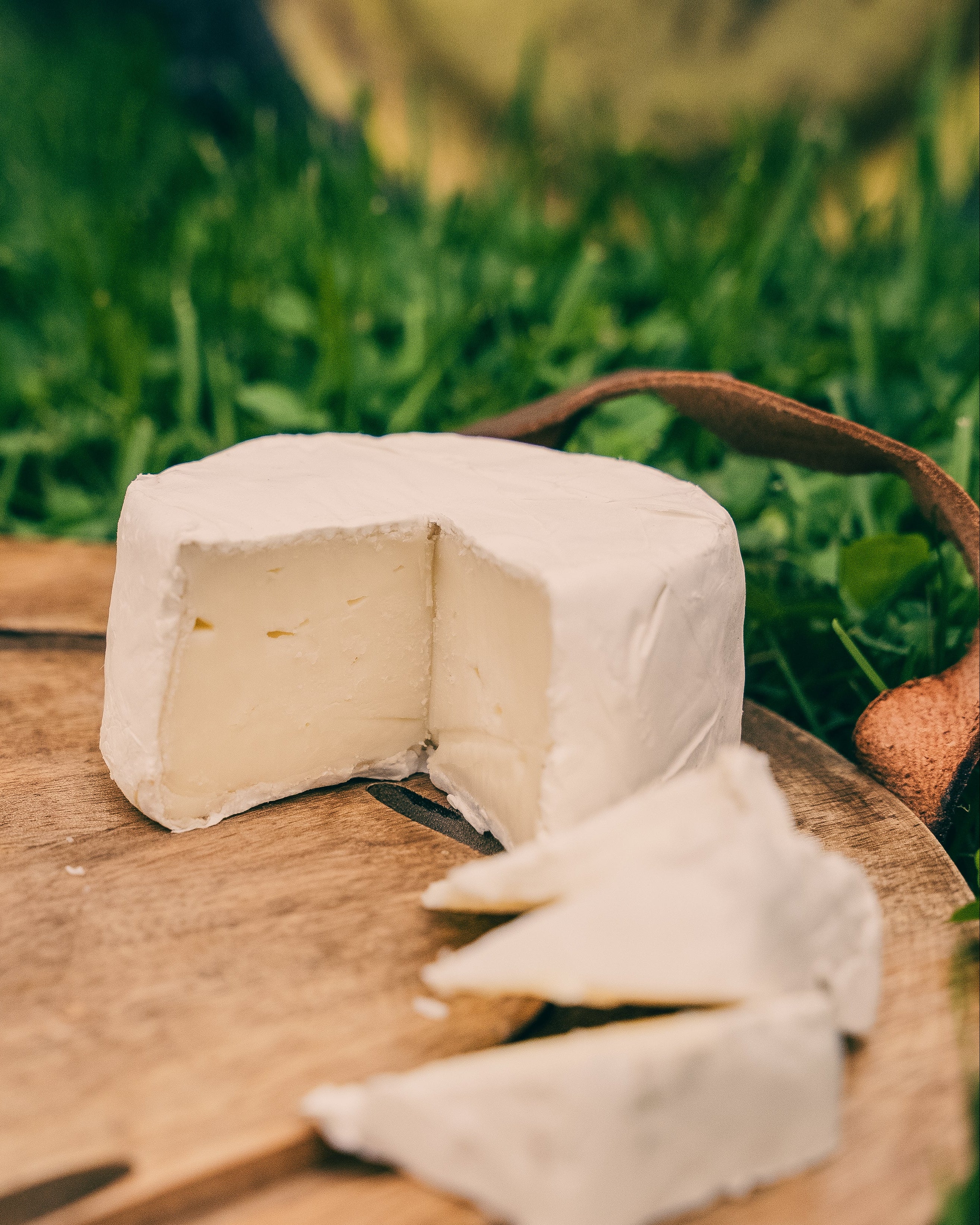 Round Hill - Camembert Style Cheese (5 oz), Pack of 4